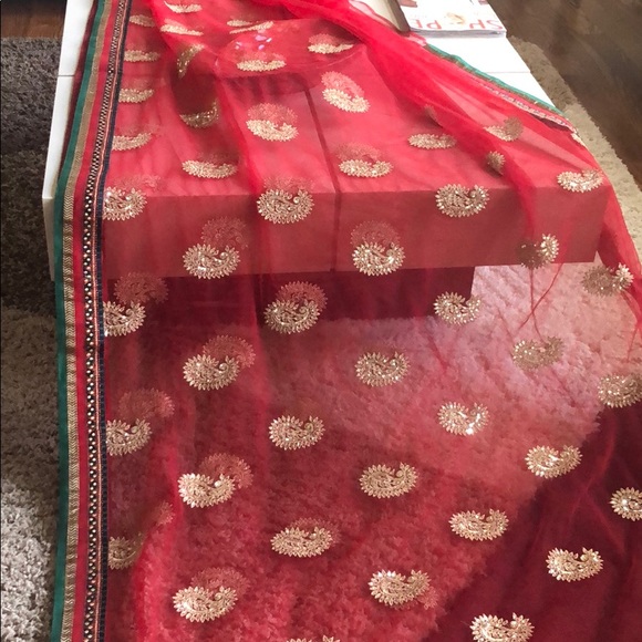 Final Sale- Indian Net Saree - Picture 6 of 8